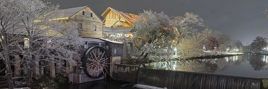 I bleed 🍊 ! Go V🧡LS! 🏈🏀⚾️🥎🧡 banner