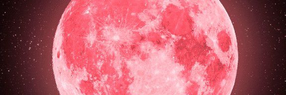 psychedelmood's profile banner image