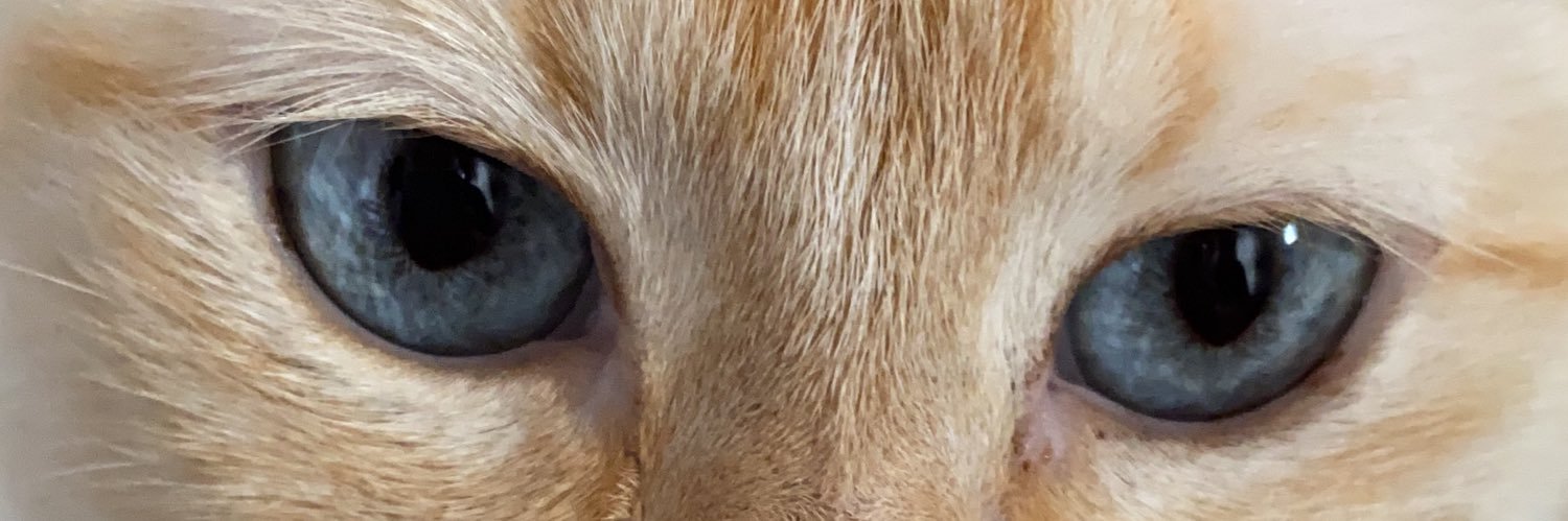 GiseG's profile banner image