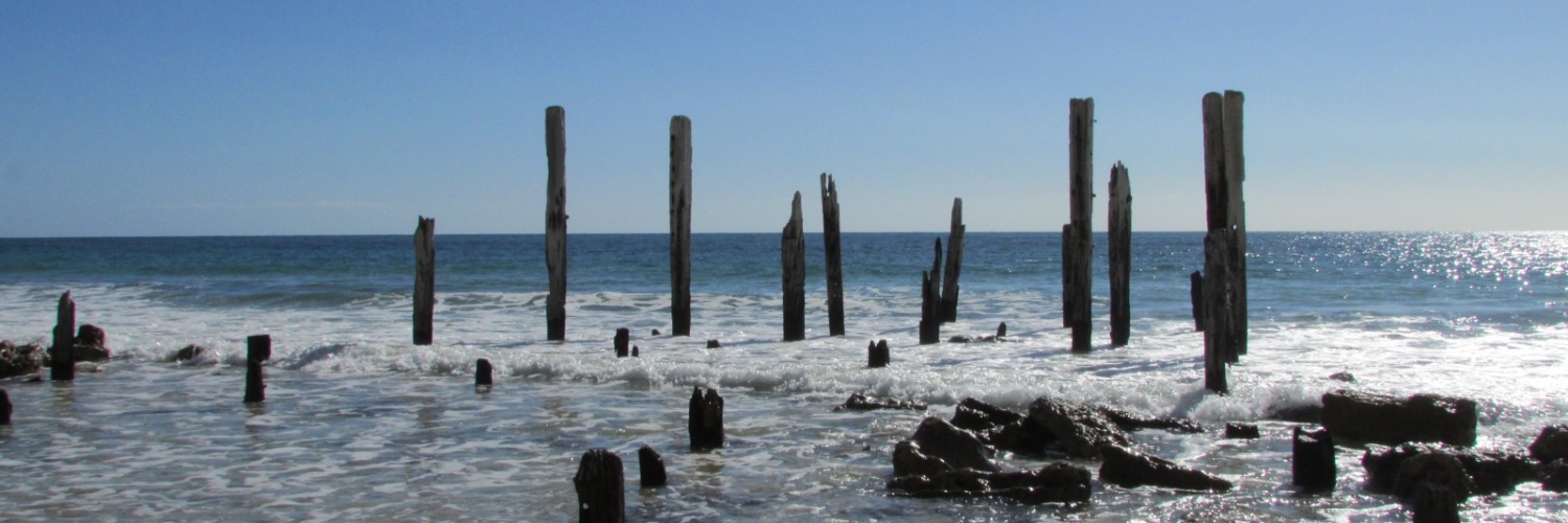 Cheryl Adnams banner