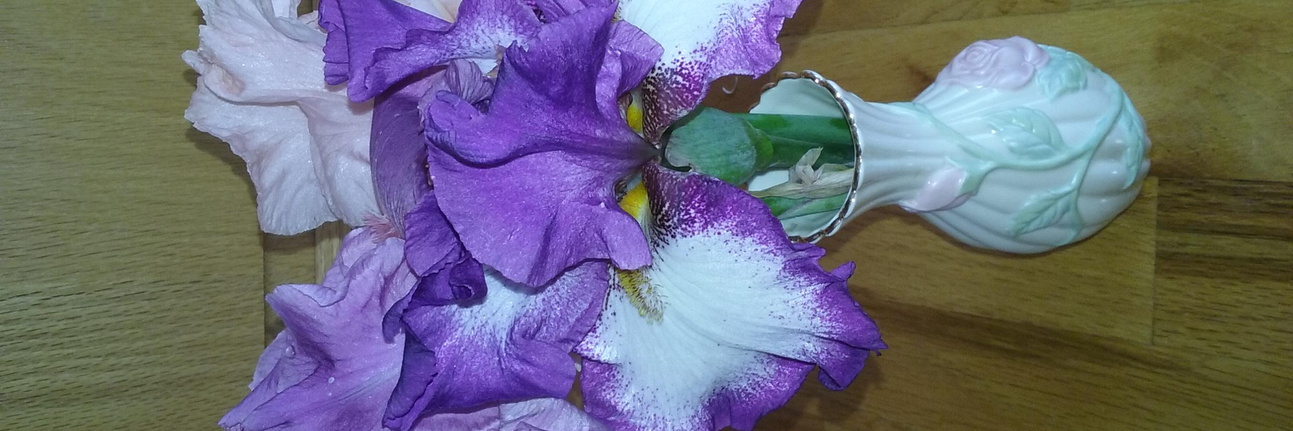 SusanHammitt's profile banner image