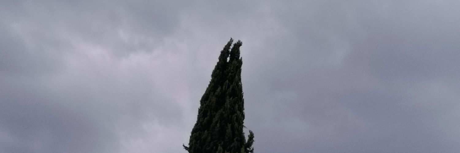 recxuzss69's profile banner image