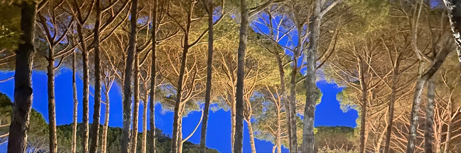 CTEOUESTATIK's profile banner image