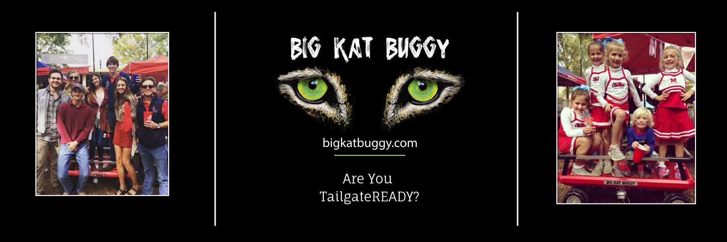BigKatBuggy's profile banner image
