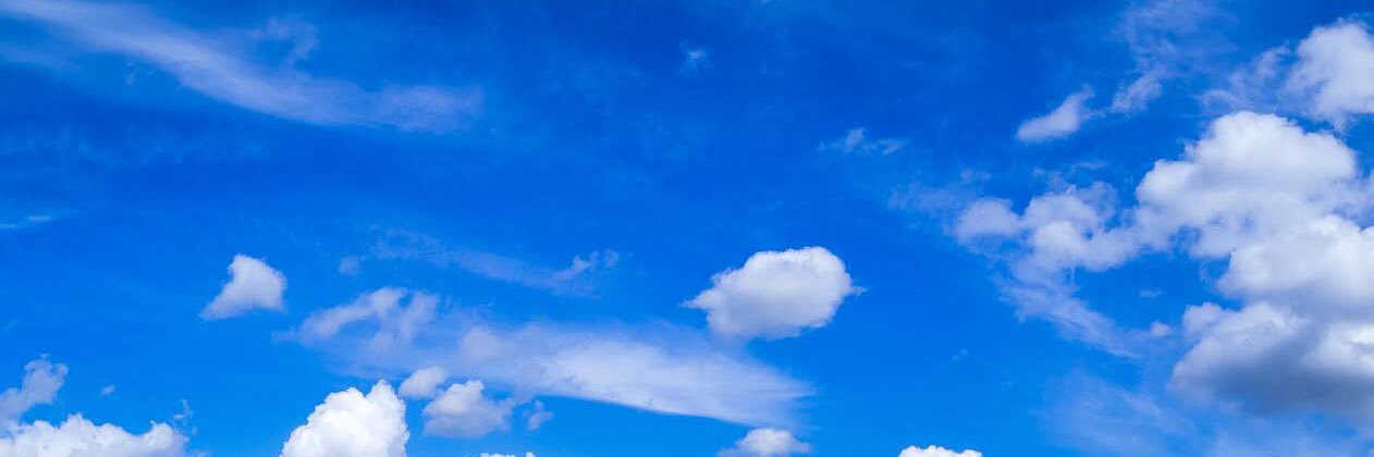 Suzy Sasse banner