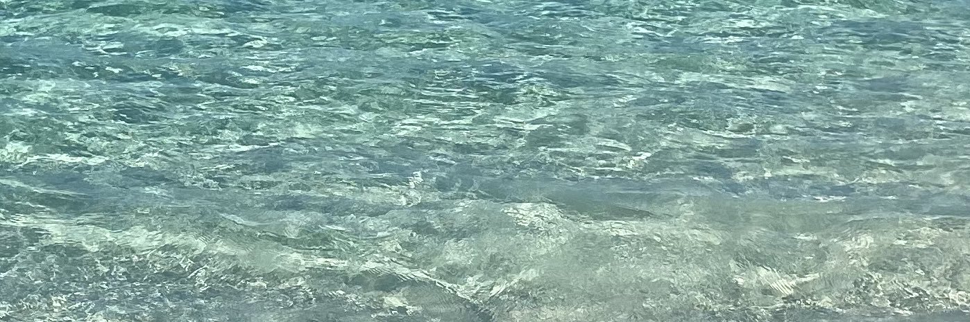 Sea. banner