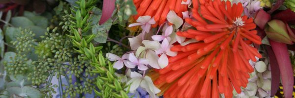 MzgeeNora Profile Banner