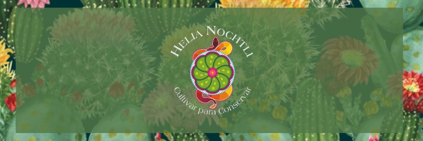 HeliaNochtli's profile banner image