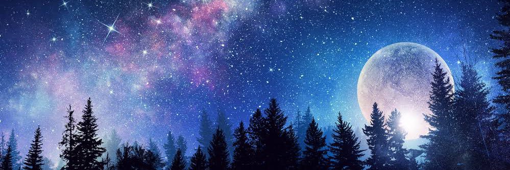 pammlayne's profile banner image