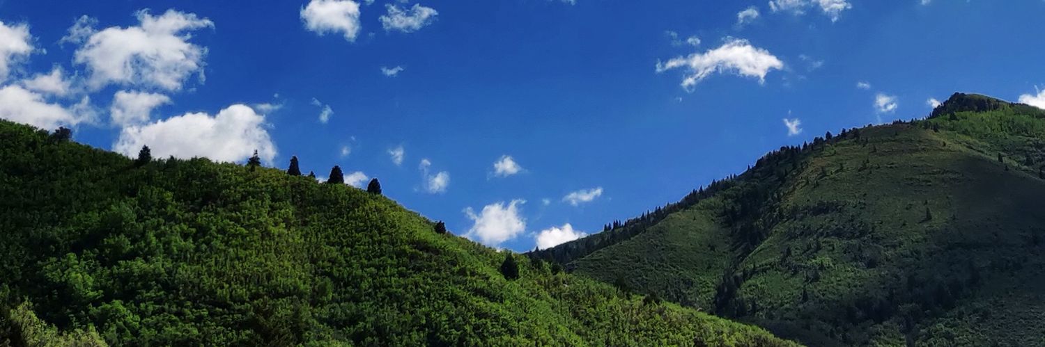 kylecoug's profile banner image