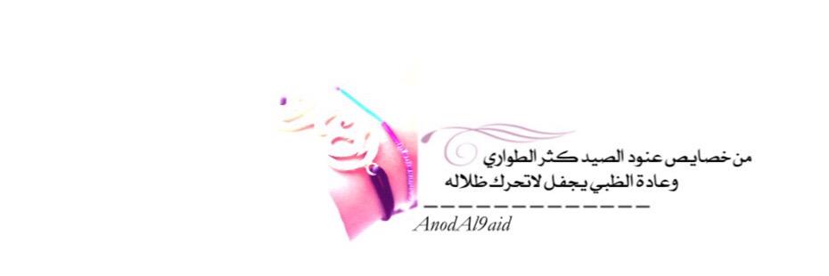 AnodAl9aid's profile banner image