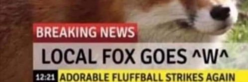 2 Teeth 2 Tail banner