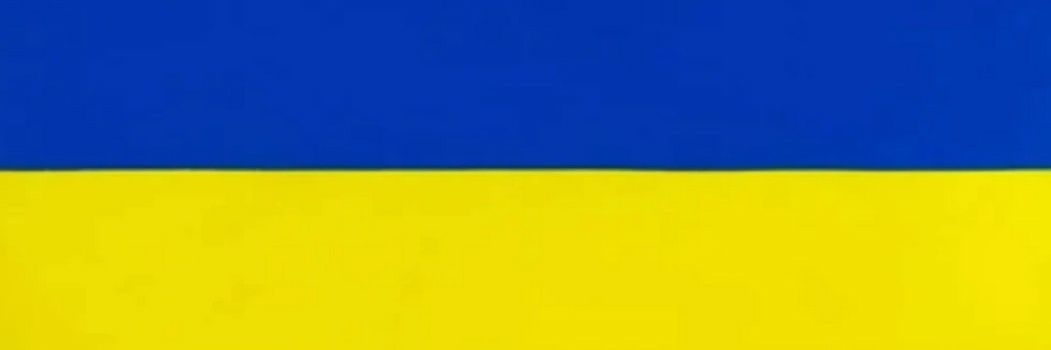 I mean, that's like your opinion man.🇺🇸🇺🇦 banner