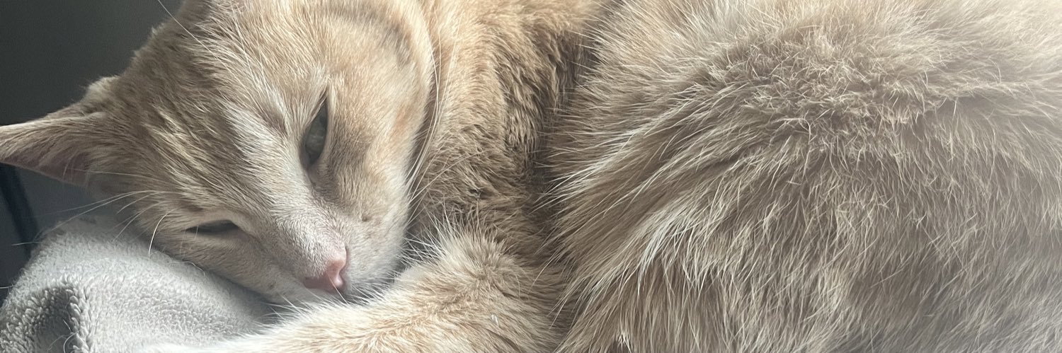 rivasiddi's profile banner image