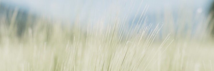 onlykindofone's profile banner image