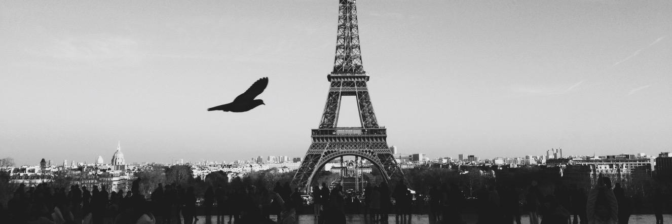 OximityFrench's profile banner image