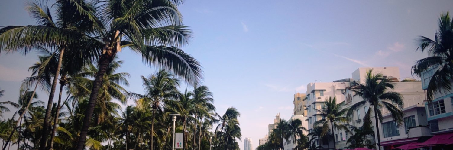 Lilee Carlson banner