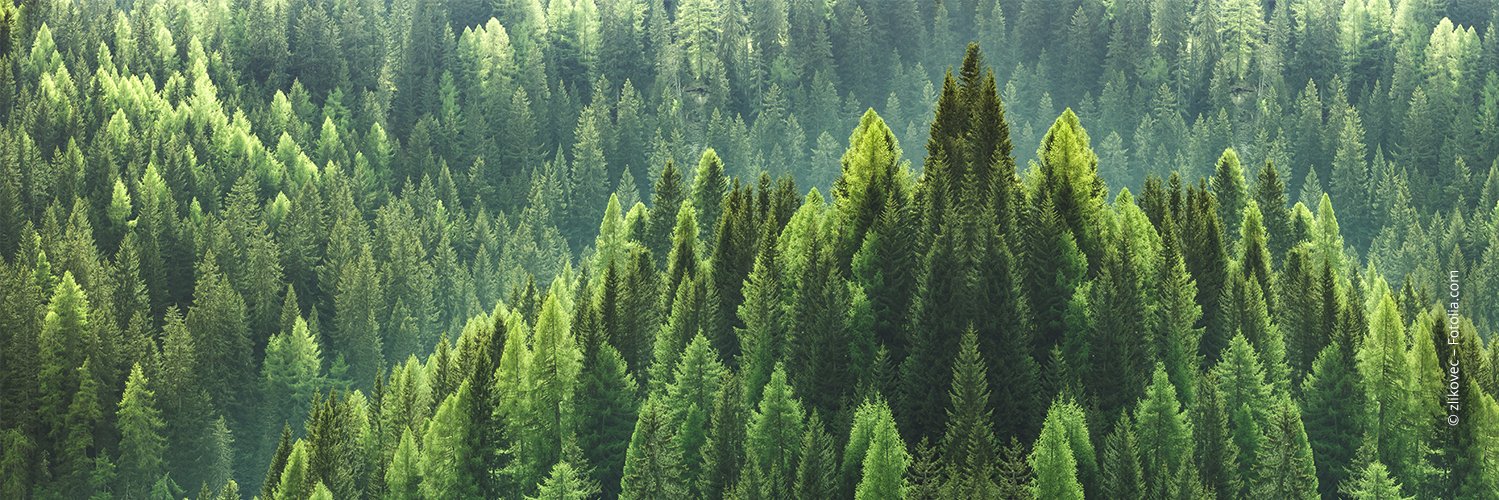 STROGONStrom's profile banner image