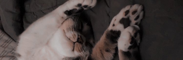 xbubbaloomi's profile banner image