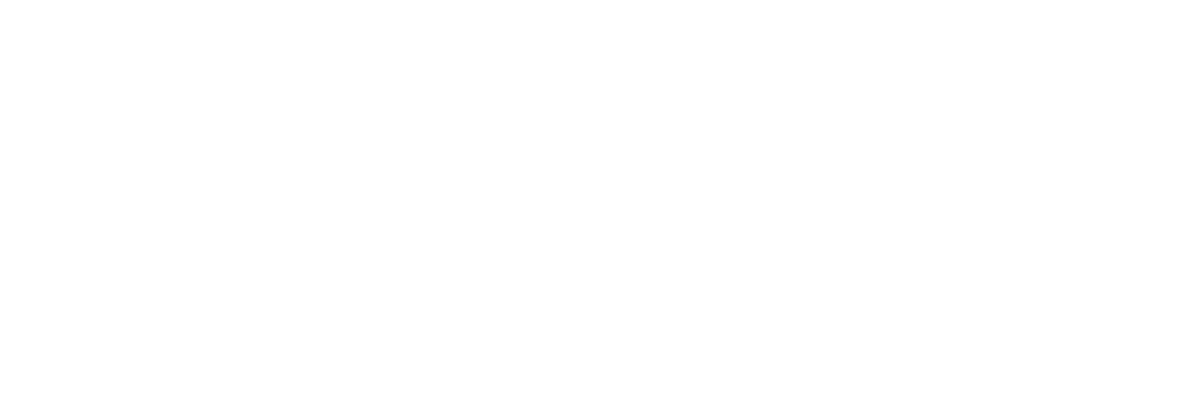 LSN_Roch's profile banner image