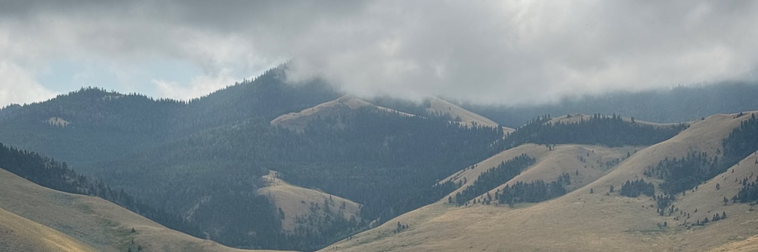 Kameron Rauser banner