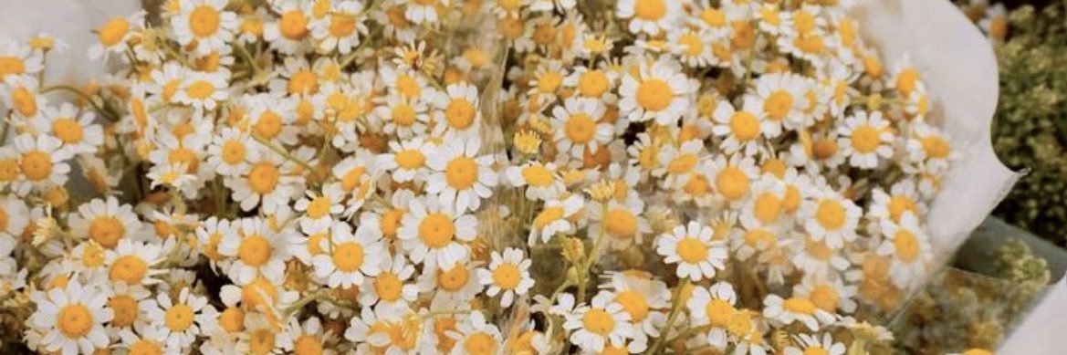 _Jadey_C's profile banner image