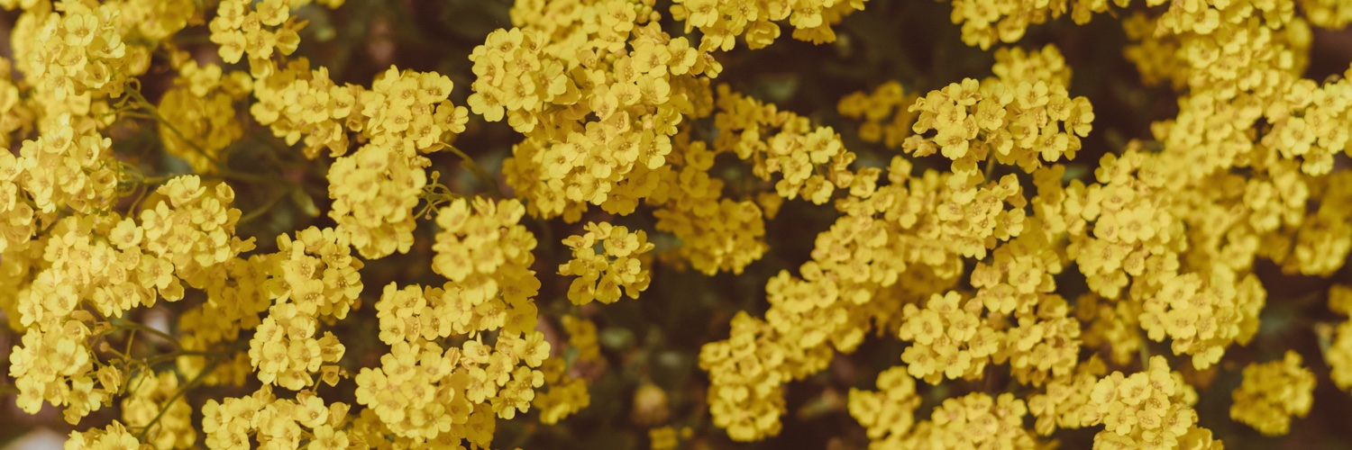j_malbe's profile banner image