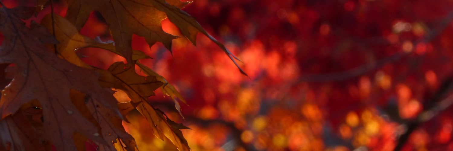 nahmasta's profile banner image