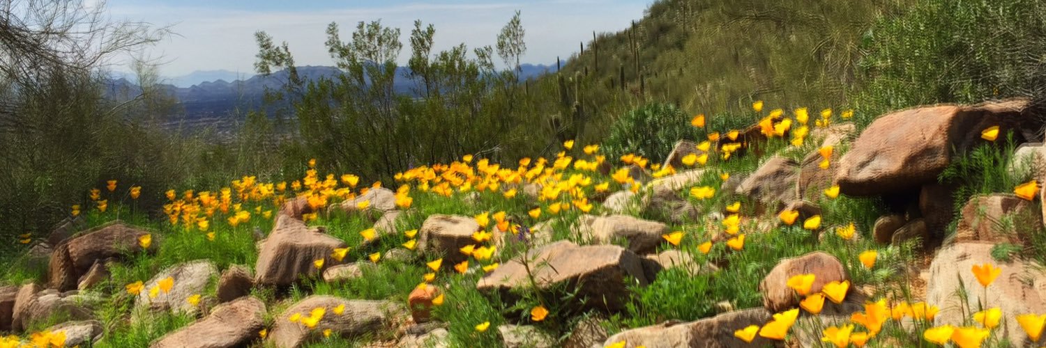 KetanAZ's profile banner image