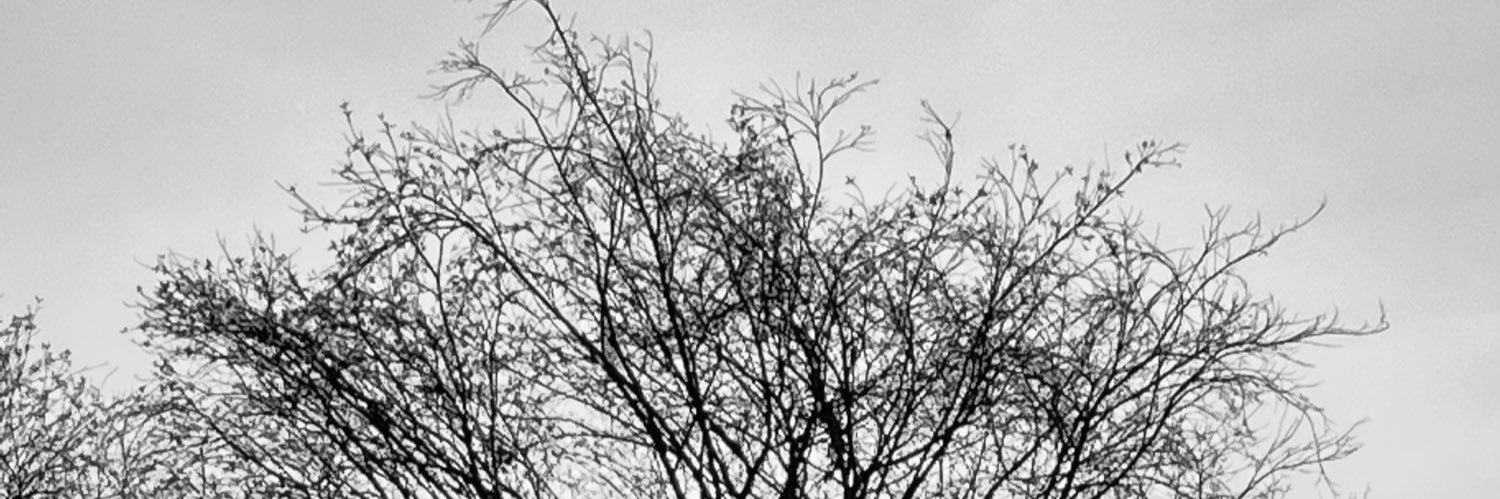 desam333's profile banner image