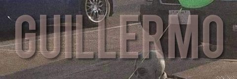 Tovareyy's profile banner image