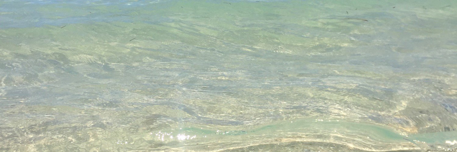 Marita Huertas banner