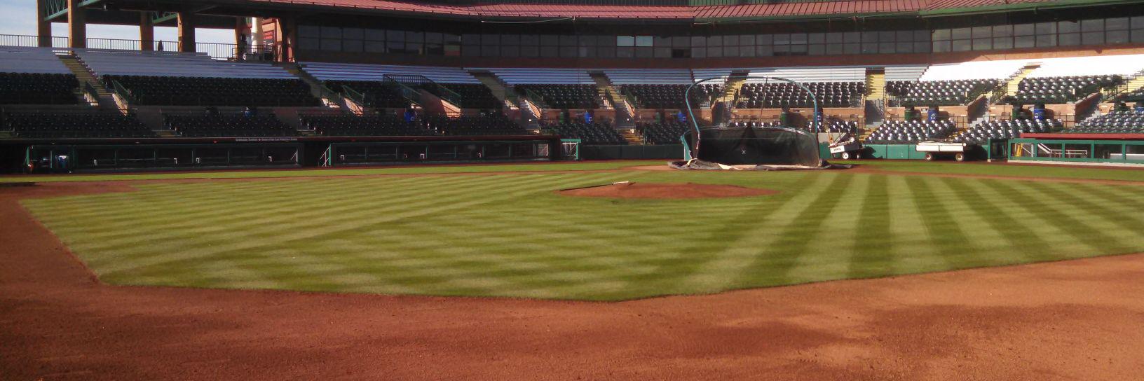 Steve Hamilton CSFM banner