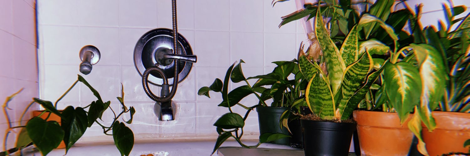 yungsuicidal's profile banner image