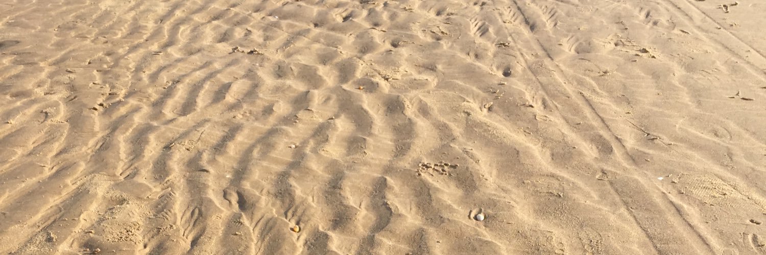 AlexAllouin's profile banner image