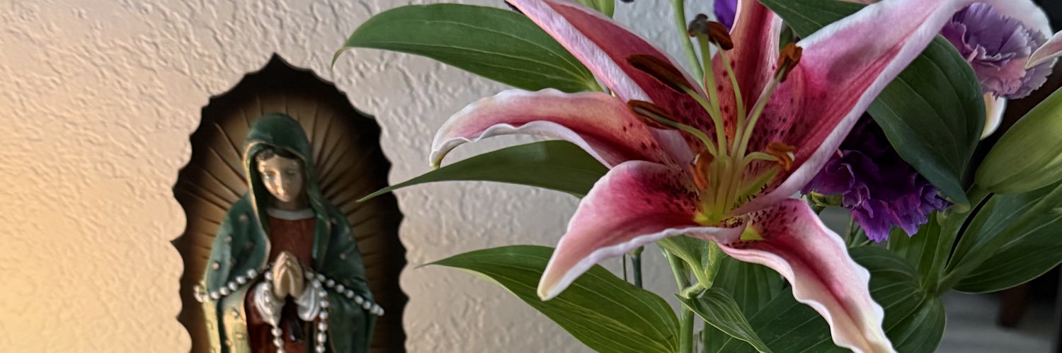 luz_shoopper's profile banner image