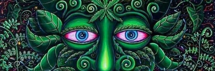 SCBaliz's profile banner image