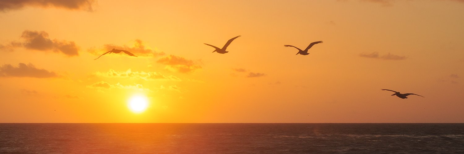 Rick Keller. Healthy living works — and rocks!💪🏼 banner