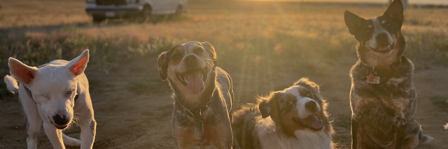 elijahHpatten's profile banner image