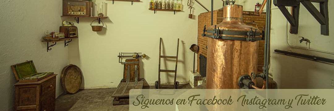 licor_cervato's profile banner image