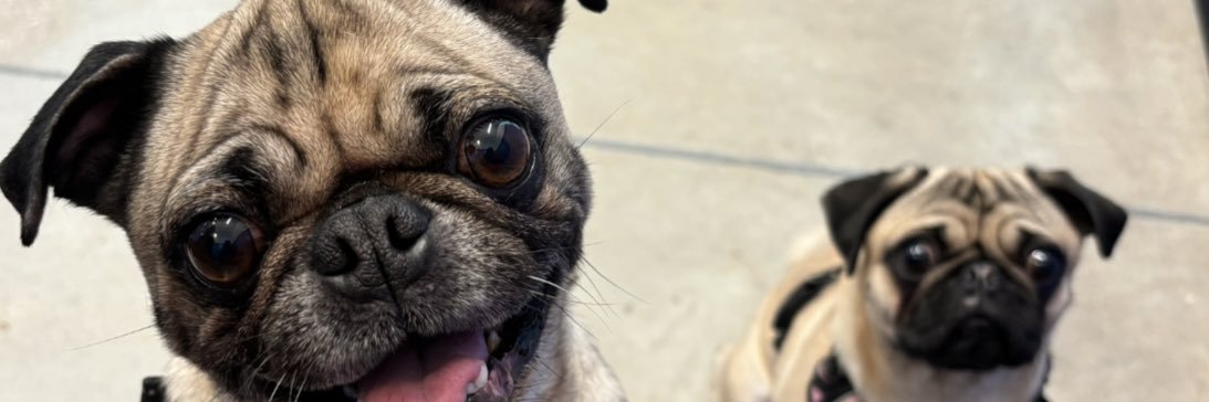 officialkbug's profile banner image