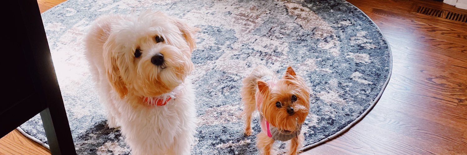 haleyholbrook_'s profile banner image