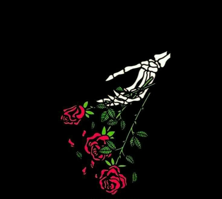Xandercorrea1's profile banner image