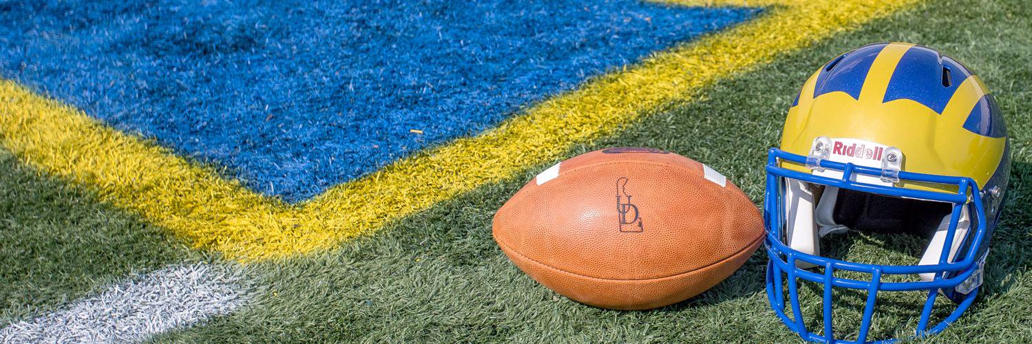 BlueHenTouchdownClub banner