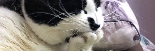 Juvaba_D Profile Banner