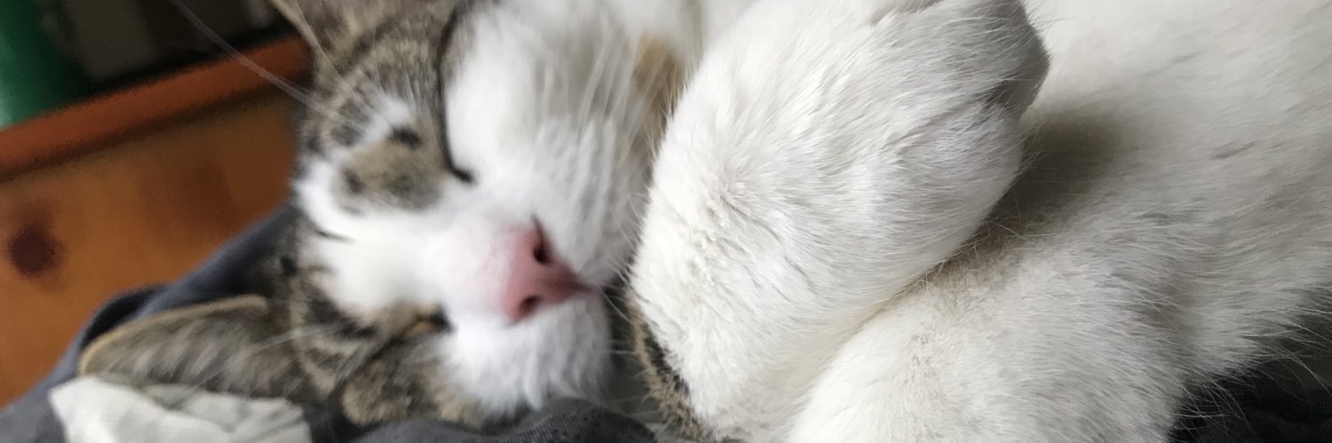 ktdible's profile banner image