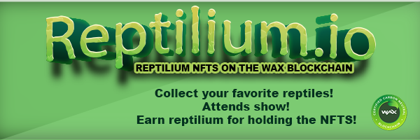 nftreptile Profile Banner