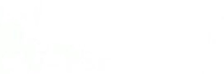 R ✨. banner