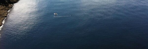 Keninny Profile Banner