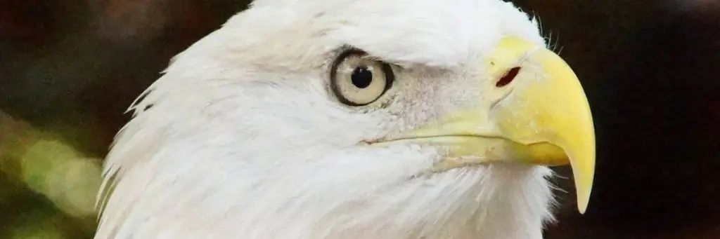 lanregabany's profile banner image